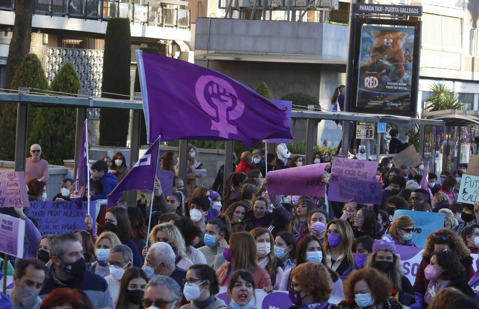 La manifestación del 8M en Córdoba, en fotografías