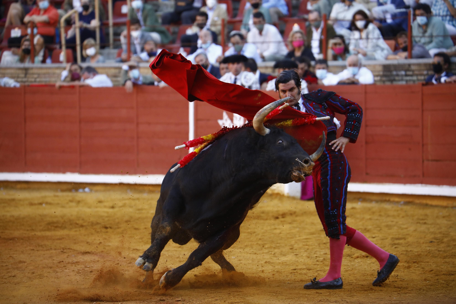 El mano a mano de Finito y Morante en la Feria Taurina de Córdoba, en imágenes