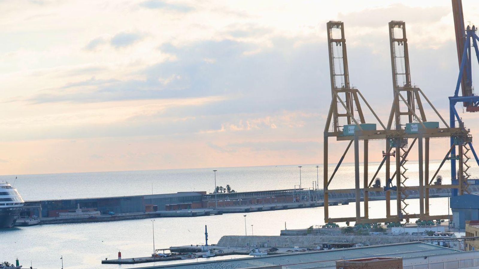 Las mejores fotos de la Maratón de Málaga 2024