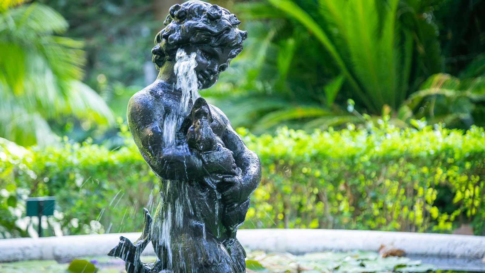 Parte de la escultura de la fuente del Jardín Botánico de Málaga. Parte de la escultura de la fuente del Jardín Botánico de Málaga.