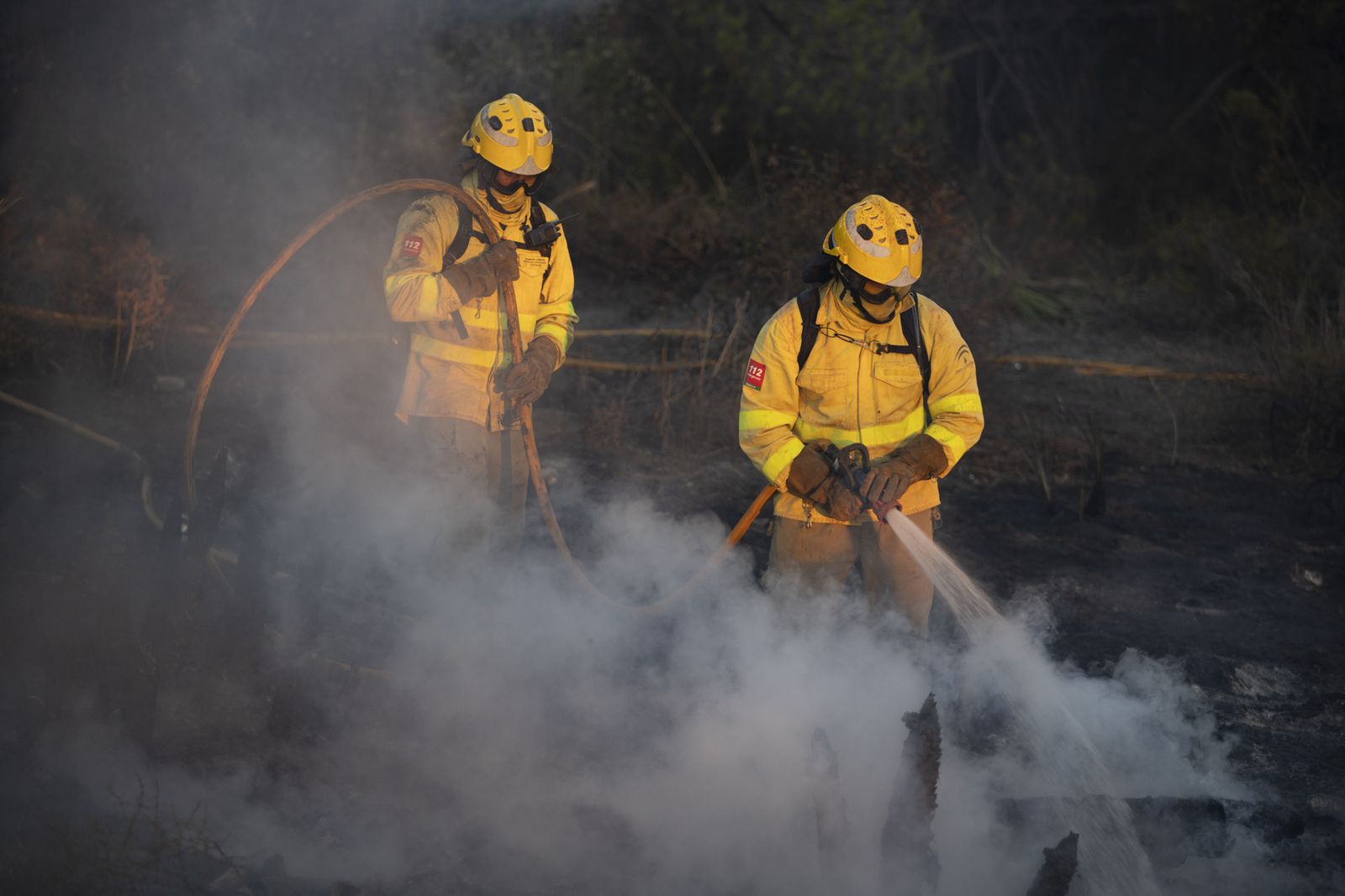 Técnicos del Infoca trabajan en el incendio de Bonares, a inicios de agosto.