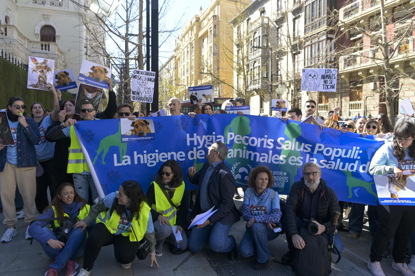 Las mejores imágenes de la manifestación de 300 veterinarios en Granada