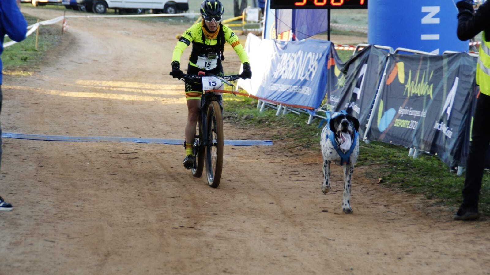 Este deporte proviene del tradicional transporte mediante tiros de perros en nieve aunque adaptado a la tierra, y contempla un binomio humano-perro que corren bajo premisas de conexión y protección hacia el animal y respeto por la naturaleza.