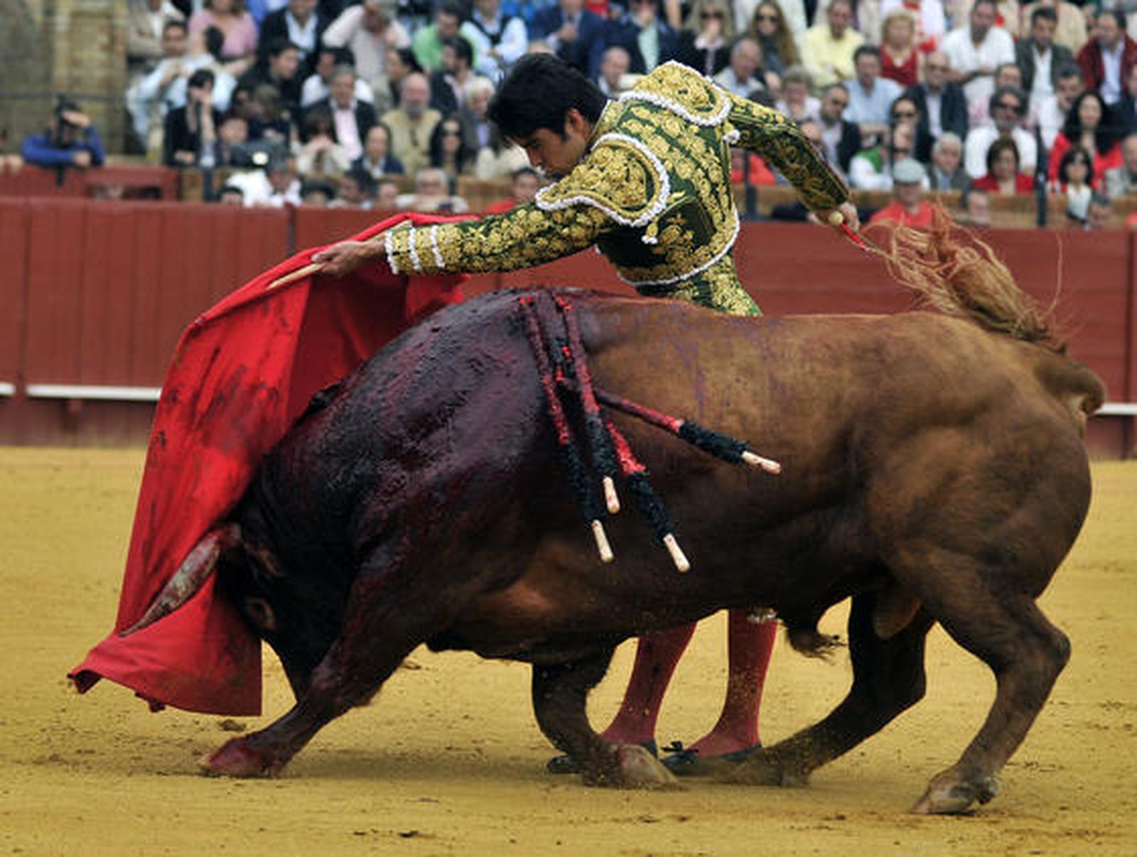 Miguel Ángel Perera toreó al segundo de la tarde.

Foto: Juan Carlos Muñoz