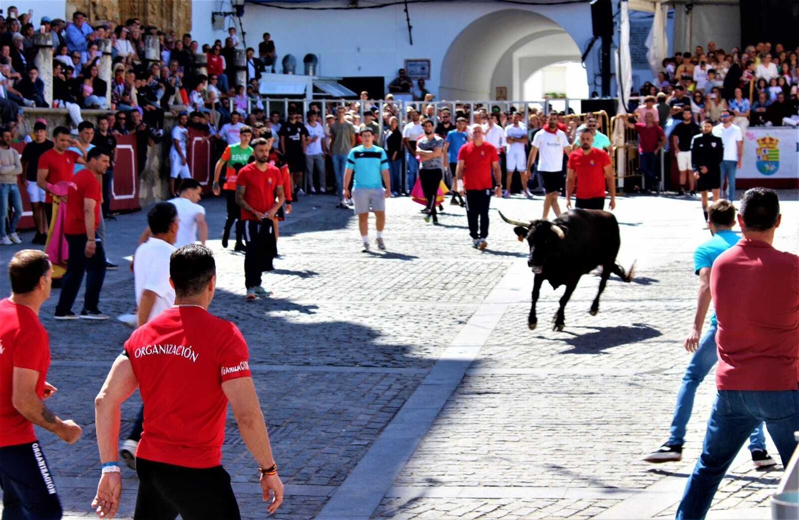 Festividad de San Jorge, patrón de Alcalá de los Gazules