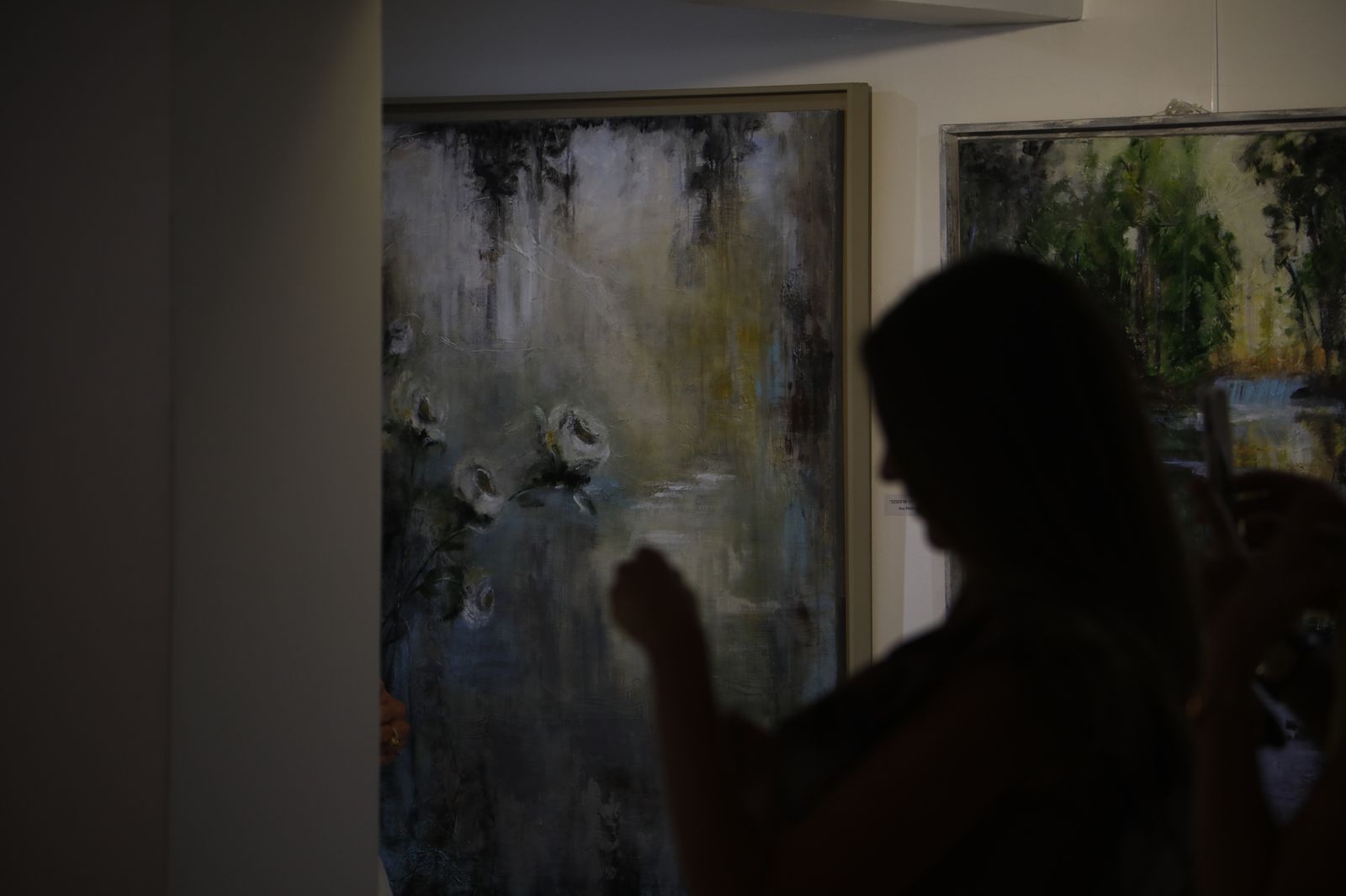 Un paseo fotográfico por la exposición 'Dos en una' del Colegio de Abogados de Córdoba