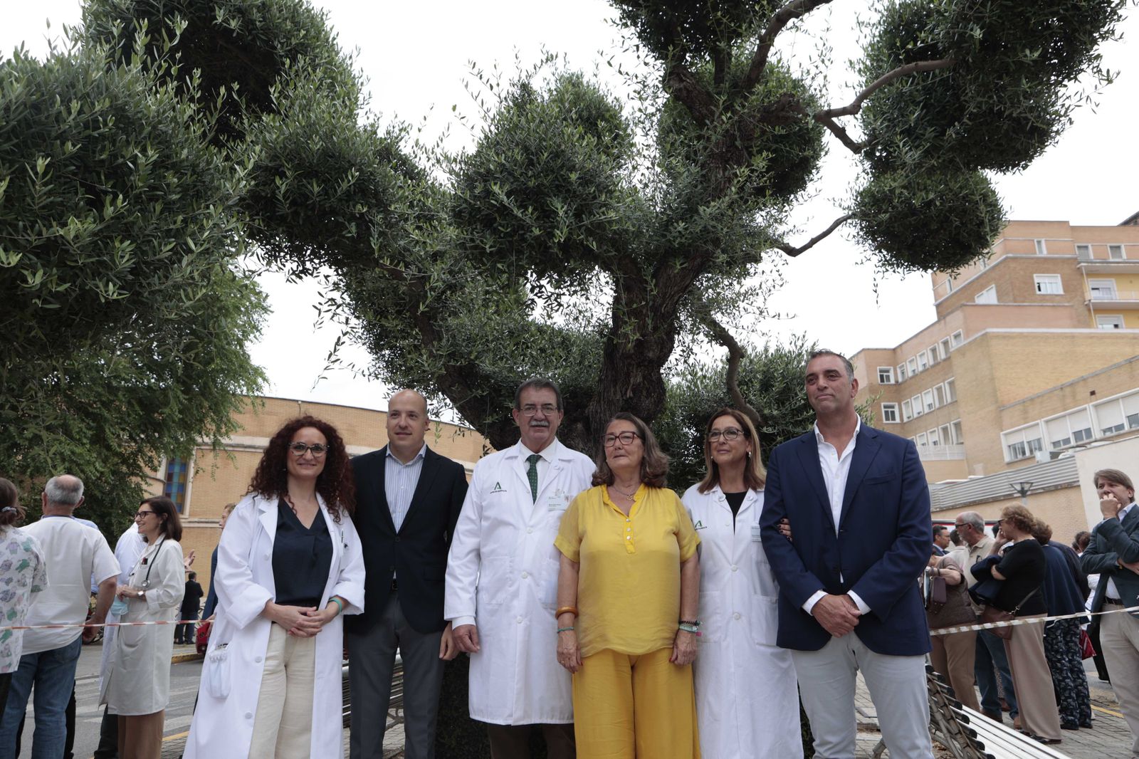 Día Nacional del Donante de órganos