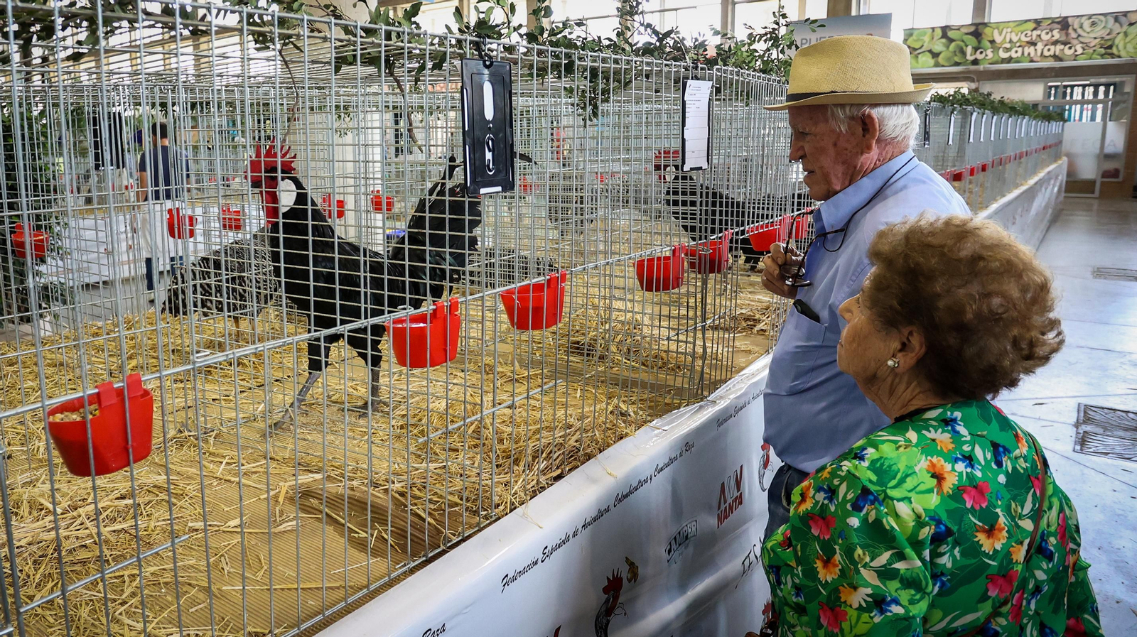 Comienza la feria de la ganadería y la agricultura en IFECA