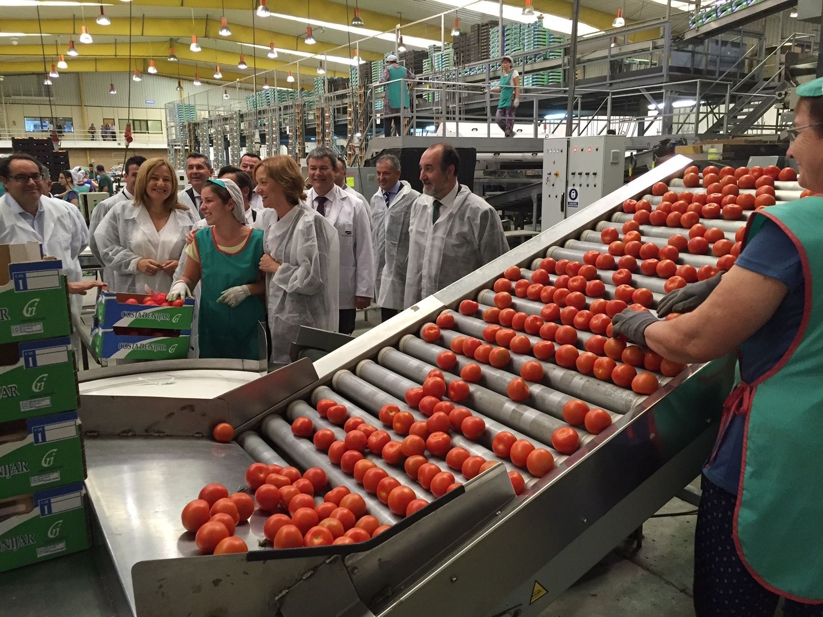 Las hortalizas frescas y congeladas están a la cabeza de las exportaciones andaluzas, donde representan un 27,5%.