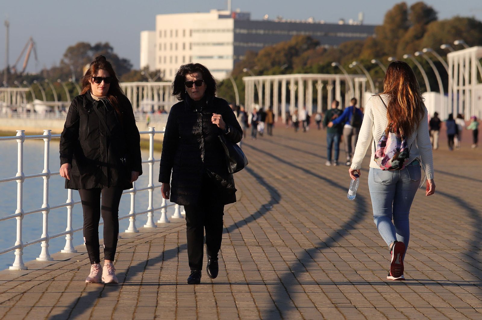 Imágenes del domingo 5 de febrero en Huelva