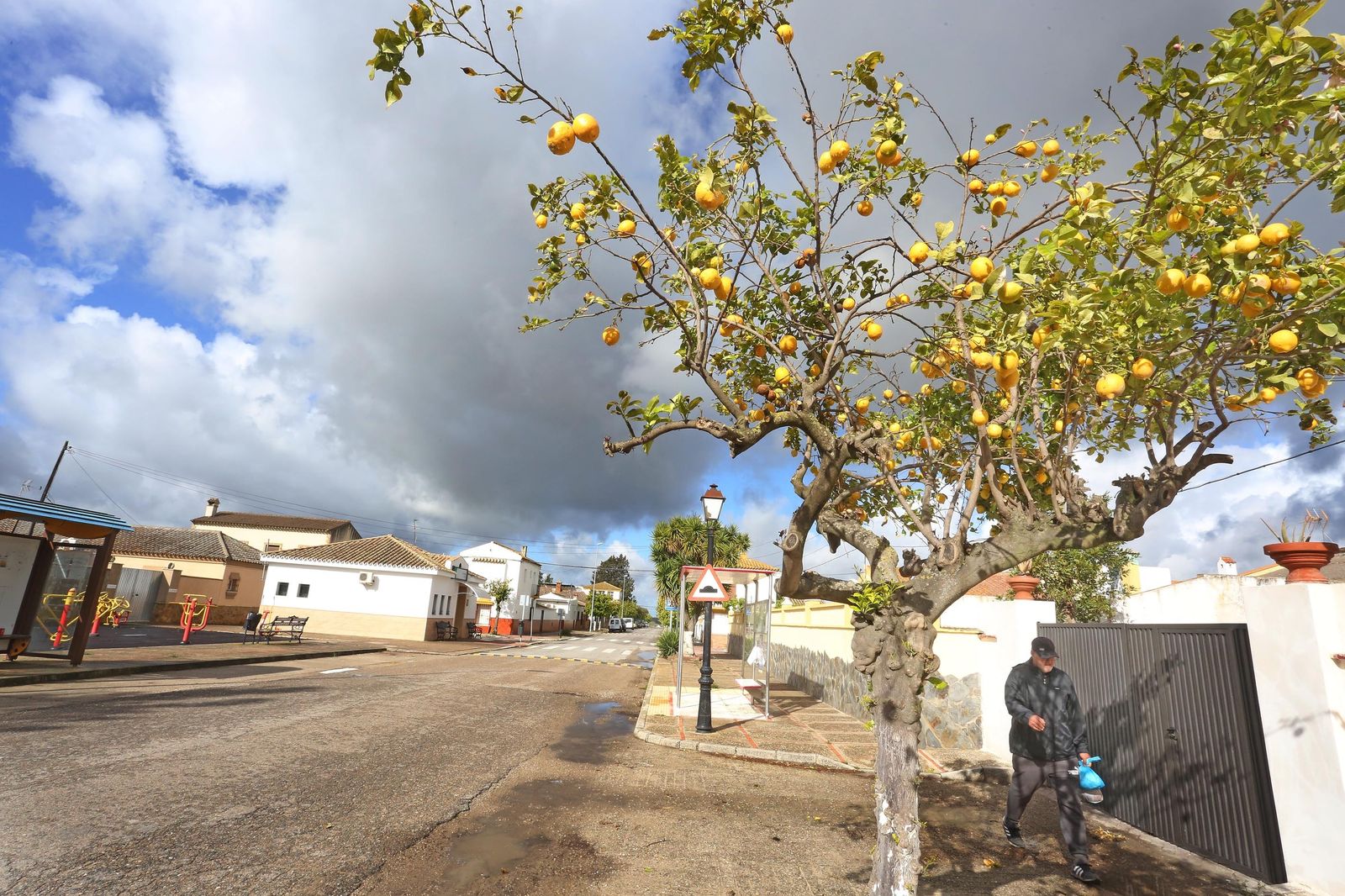 Coronavirus en Jerez , imágenes de la zona rural