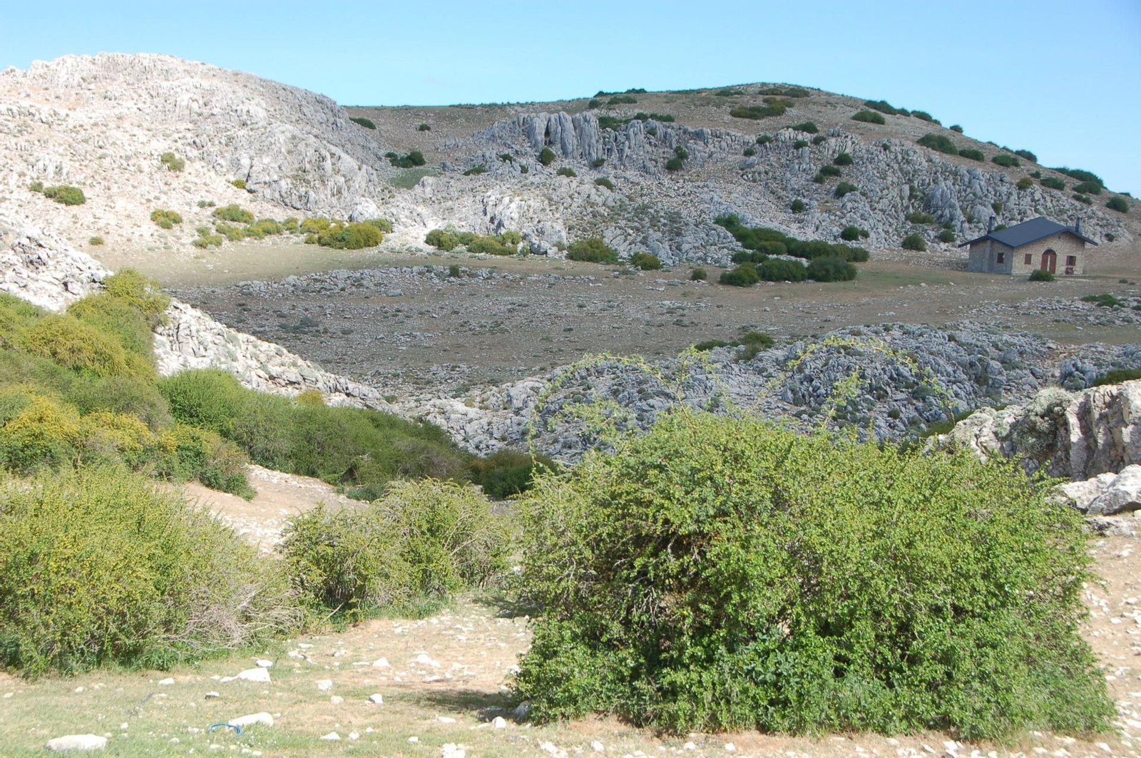 Imagen de archivo del Parque Natural Sierra de Castril, en Granada