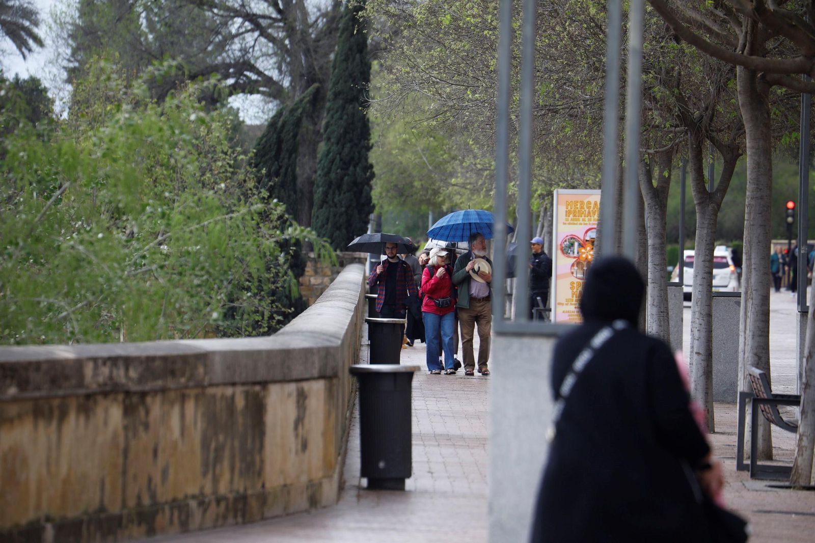 El paso de la borrasca Nuria por Córdoba, en imágenes