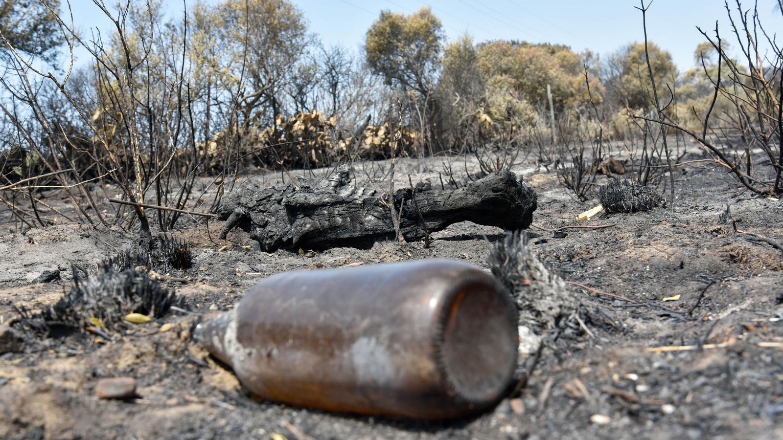 Fotos del incendio de Valdevaqueros que arrasó con 11 hectáreas de Parque Natural del Estrecho Las fotos de la zona afectada por el incendio de Valdevaqueros