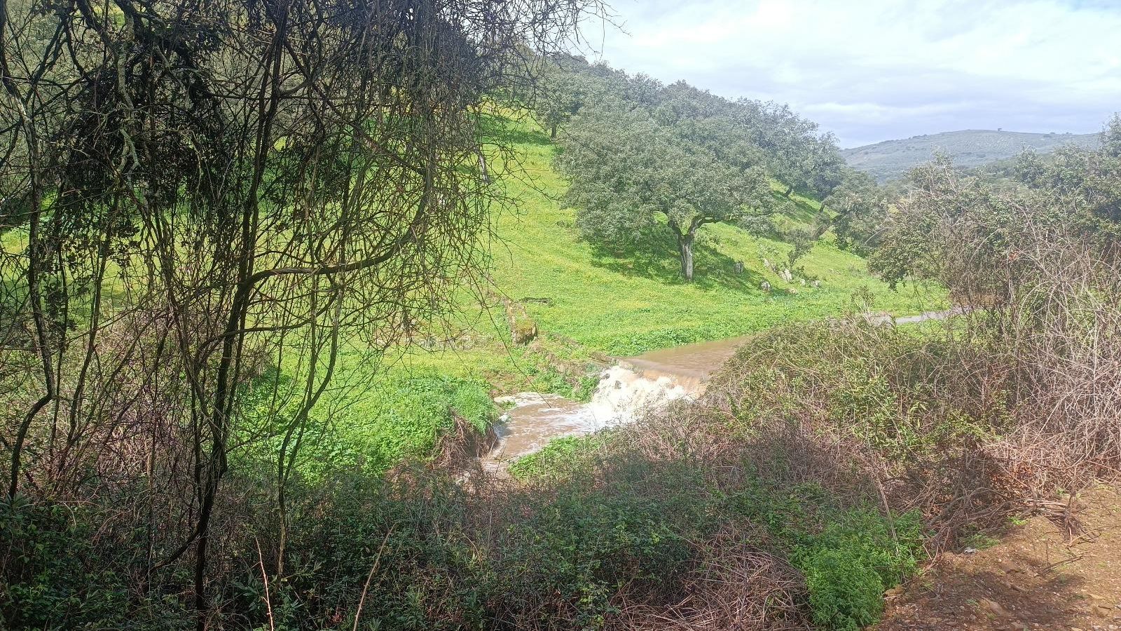 Cascada en el Barrando de Merino.
