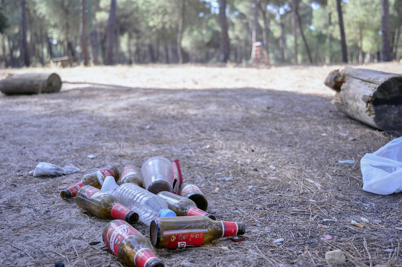 Una imagen de archivo de restos en una zona de acampada de Aznalcázar, antes de la limpieza manual.