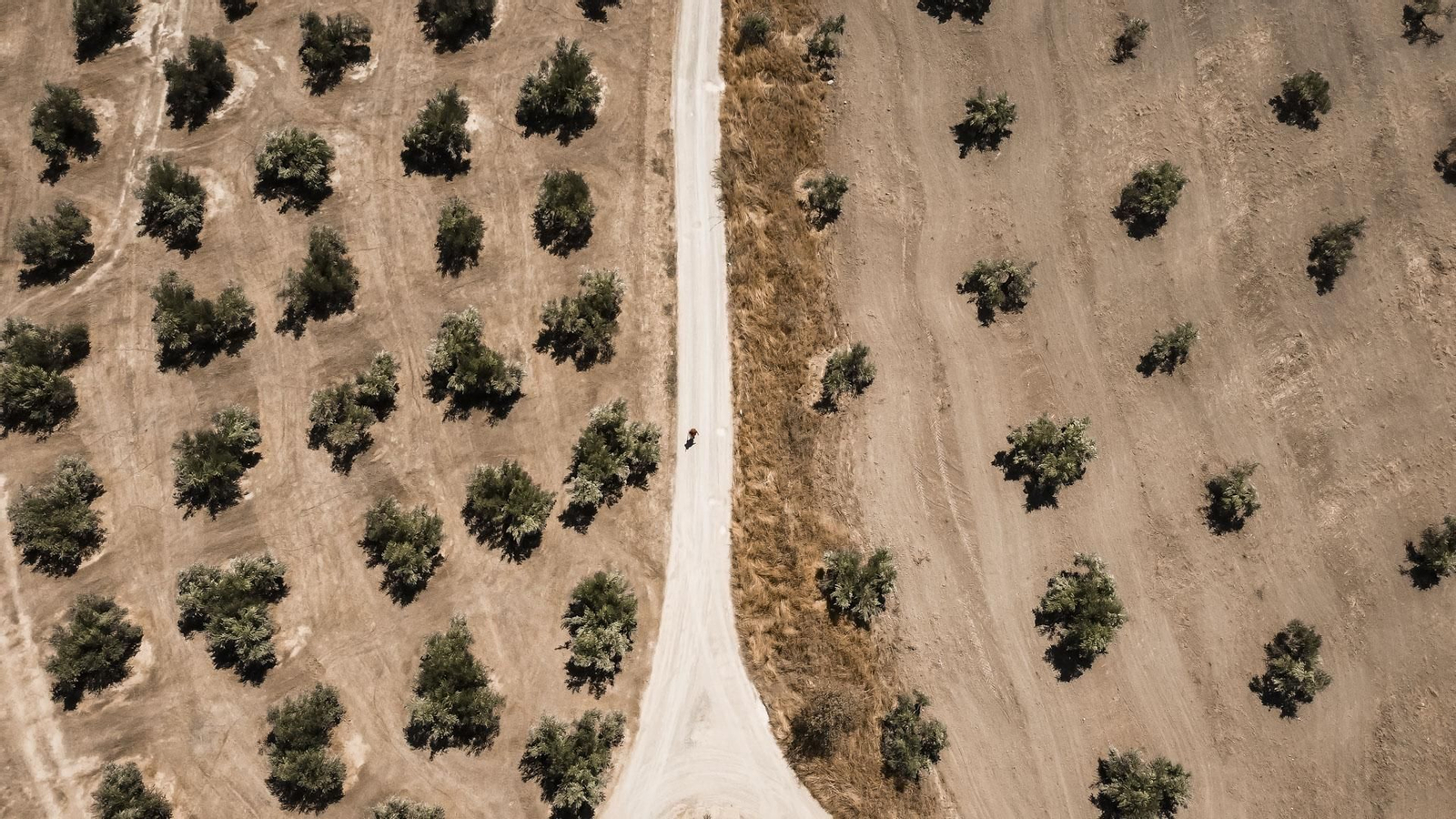 Arte urbano y turismo se dan la mano en estos murales del Camino Mozárabe de Santiago