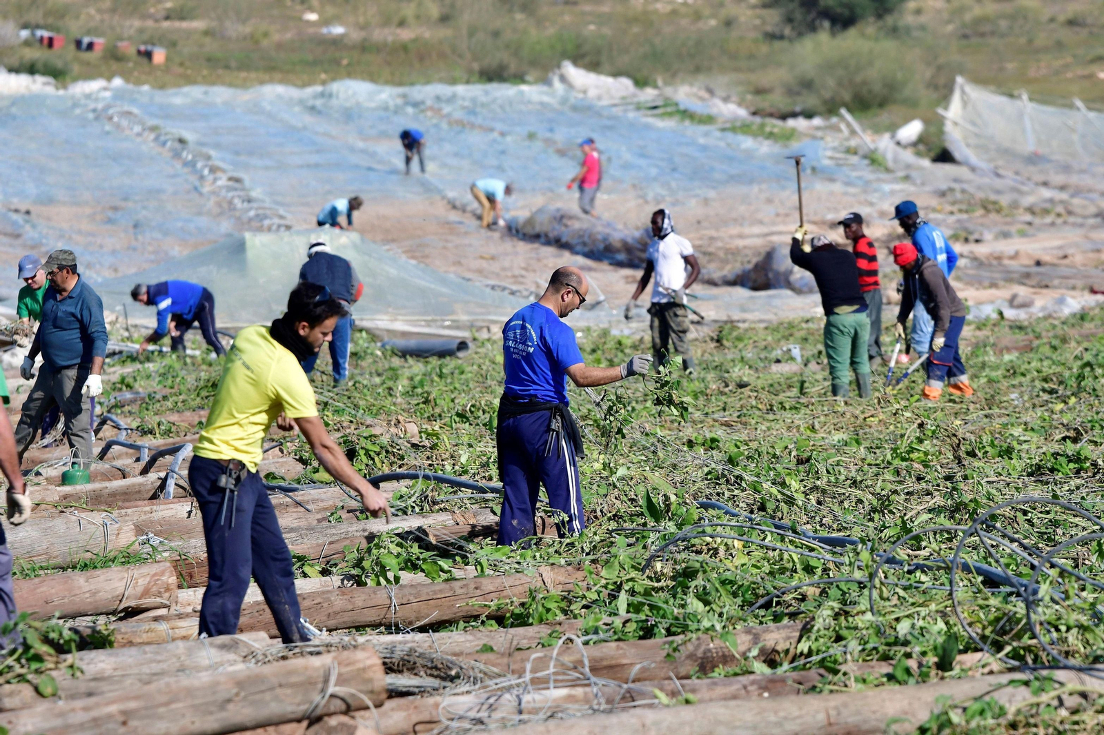 El paraíso de los pobres: la economía ficticia de Níjar