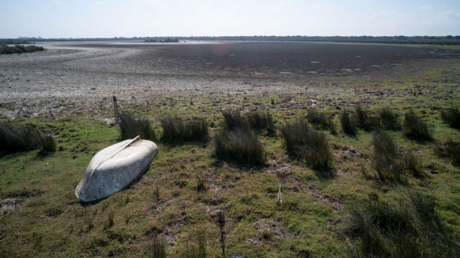 Imagen de las marismas de Doñana difundida por WWF.