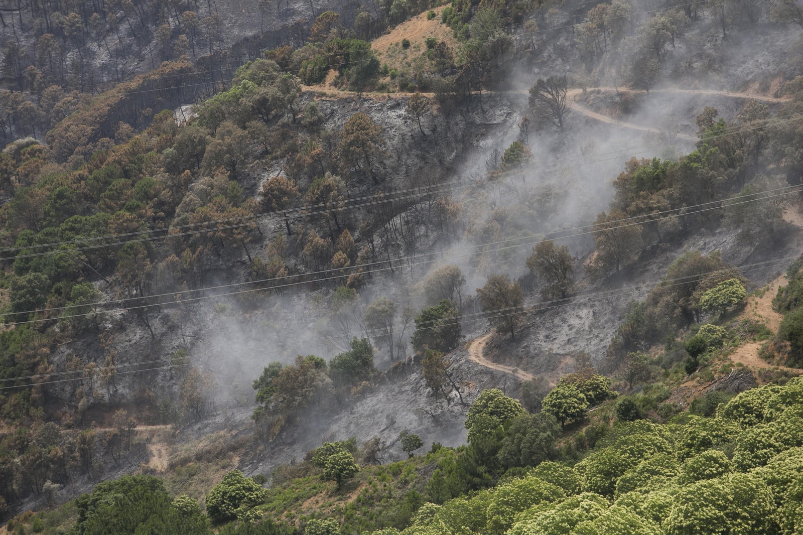El incendio de Sierra Bermeja una semana después, en fotos