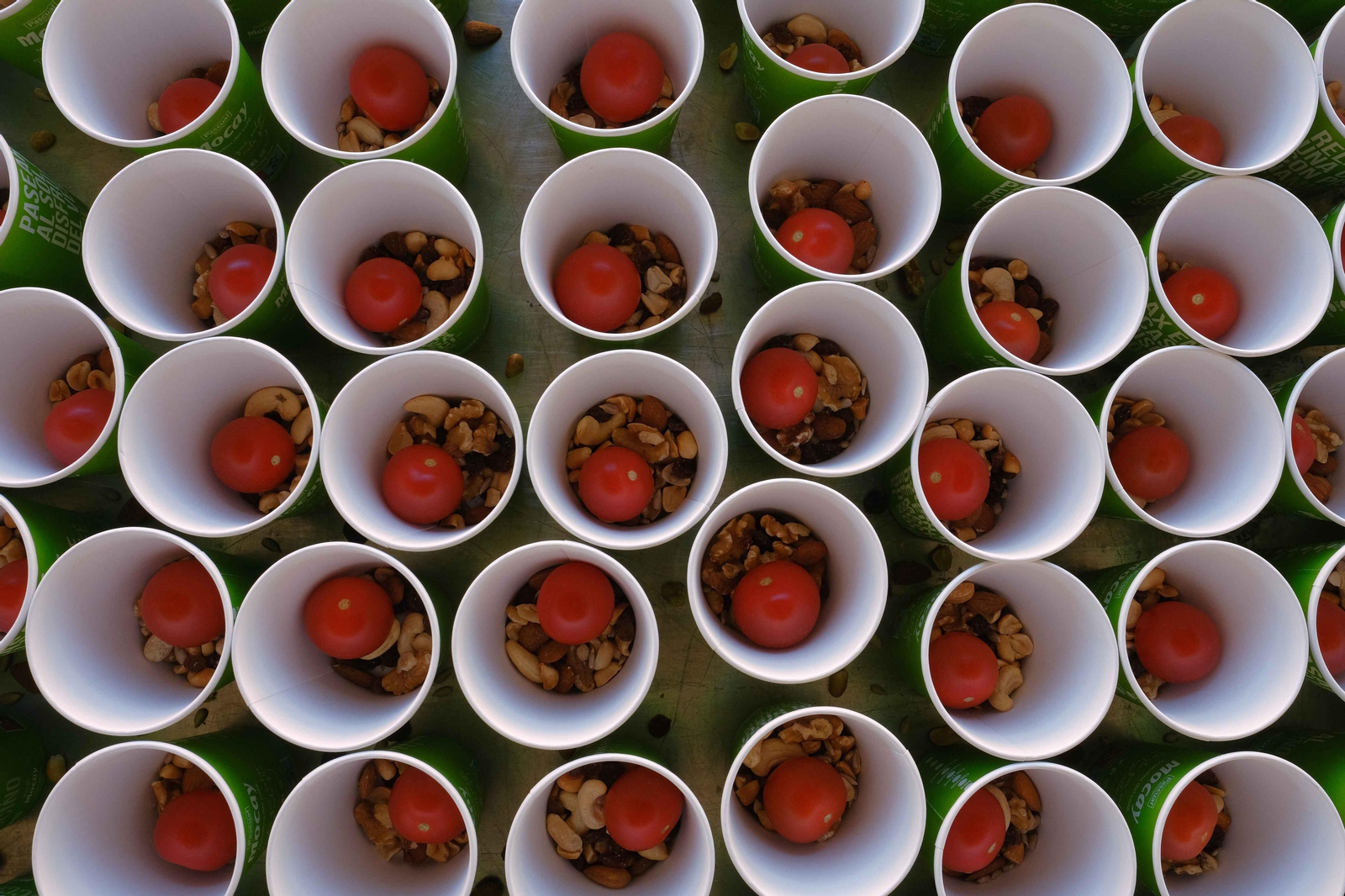 Los 101 de la Legión, en fotos