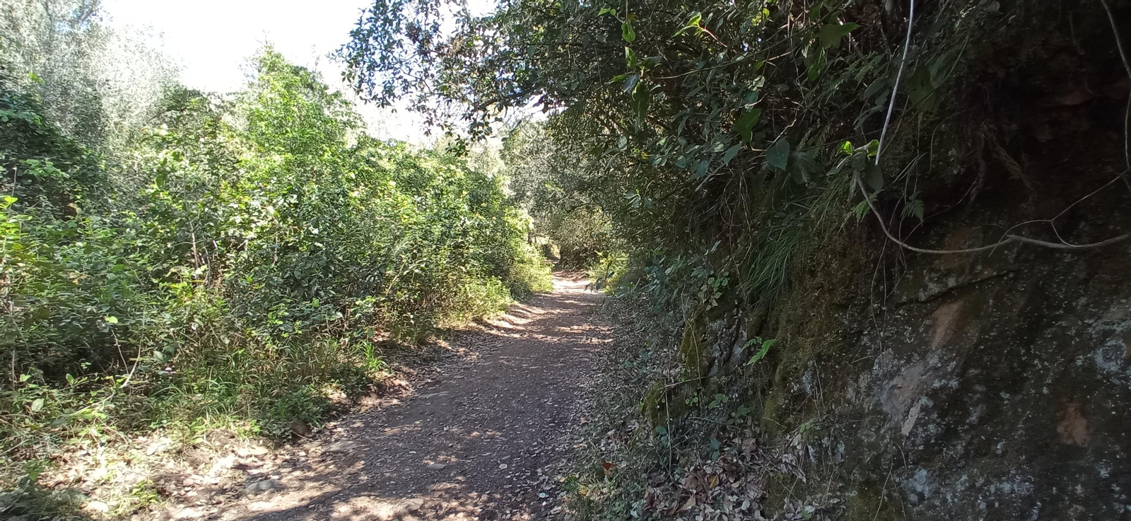 Las imágenes de la ruta de las casas de los Tres Cerditos