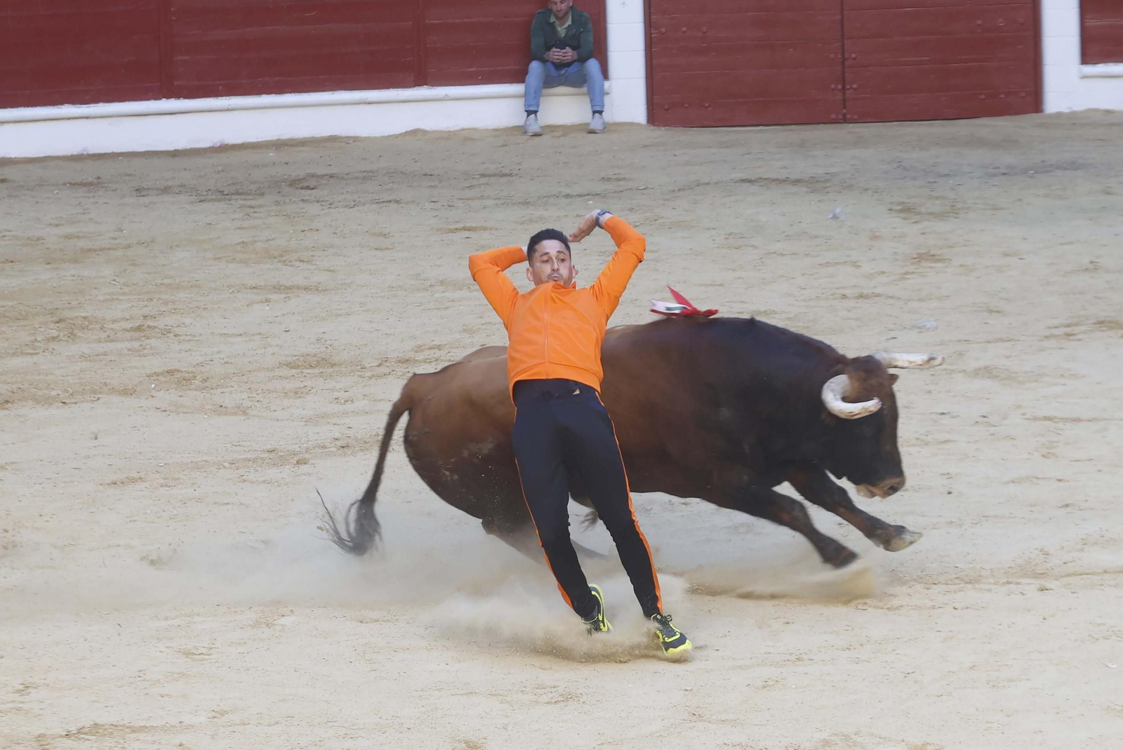 Fotos de los encierros del sábado del Toro Embolao en Los Barrios