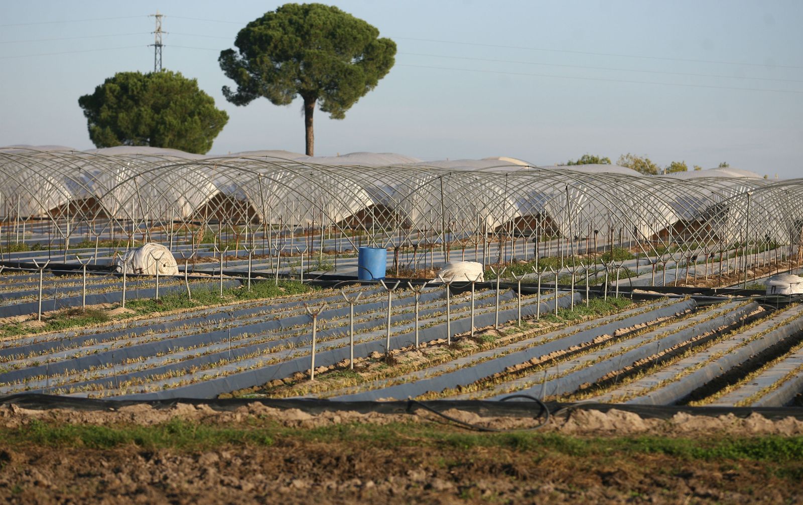 La Audiencia eleva la extracción de agua en La Borrachuela a delito medioambiental y endurece las penas