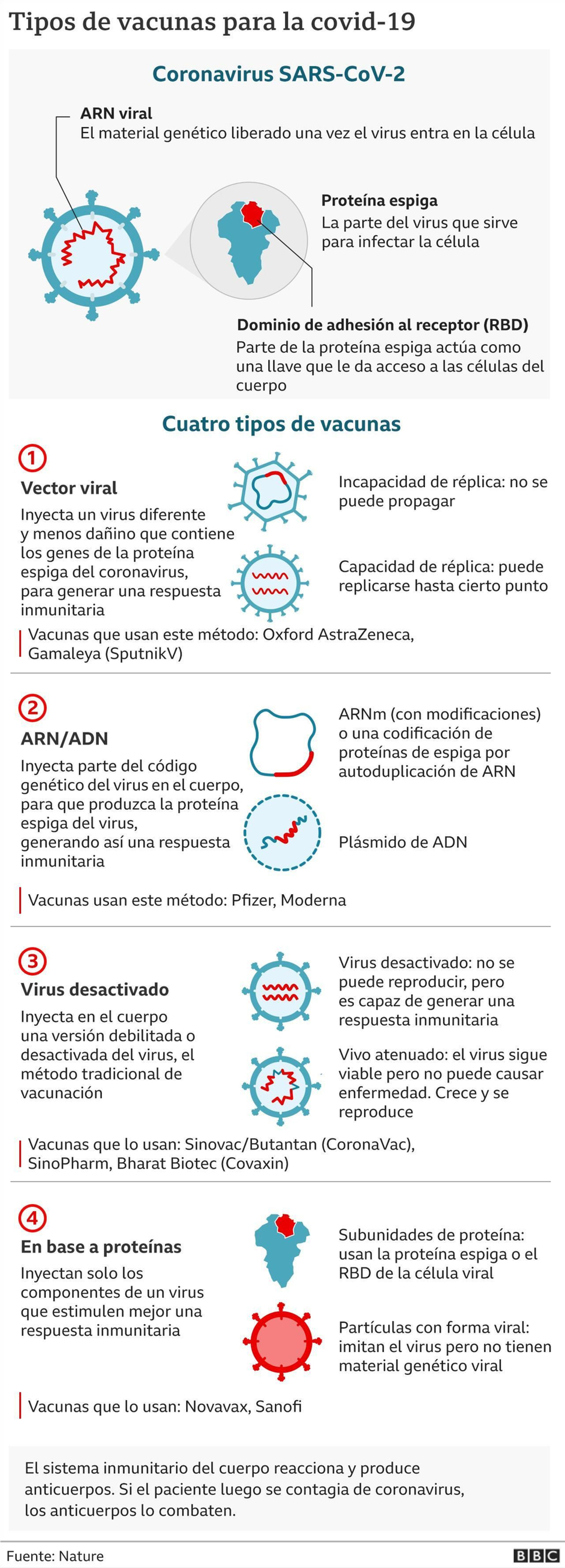 Tipos de vacunas para la Covid-19