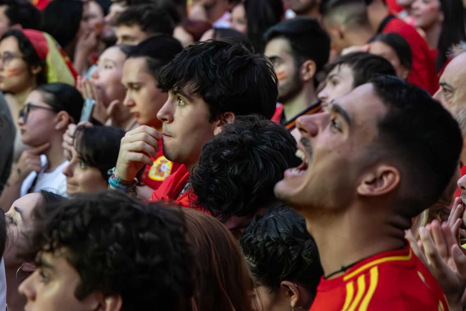 La euforia jiennense por la victoria de España, imágenes