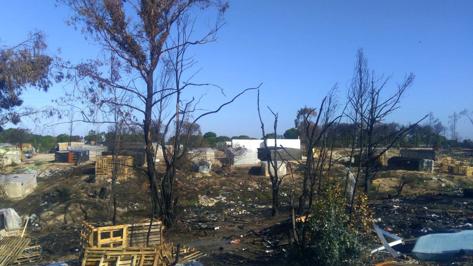 Imagen del asentamiento donde falleció el joven marroquí el pasado día 14.