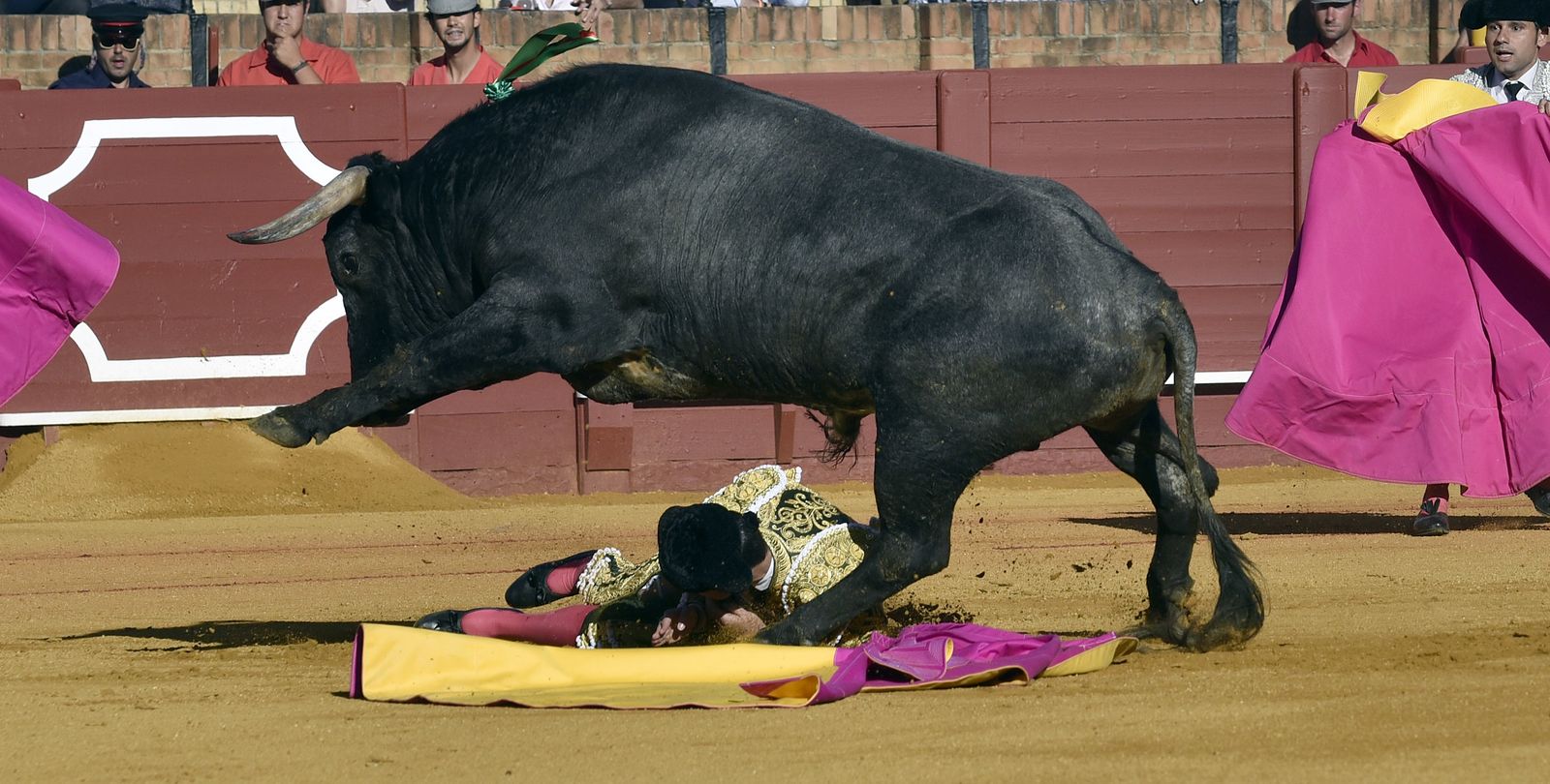 La 14ª de abono en la Real Maestranza de Sevilla, en imágenes