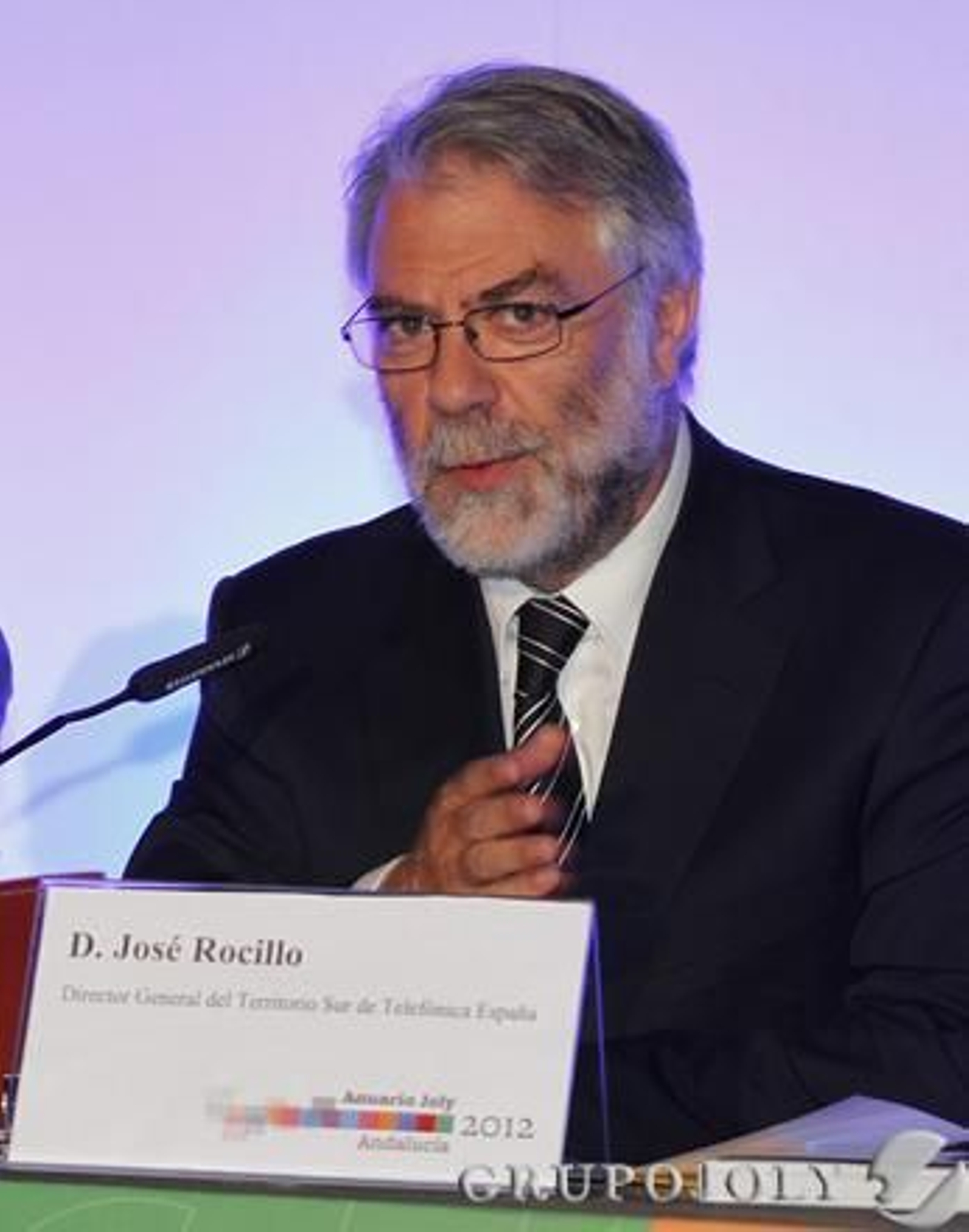 José Rocillo, director territorial de Telefónica, durante su intervención en la presentación del Anuario Joly.

Foto: A. Pizarro - M. Gómez - J.C. Vázquez - V. Hidalgo