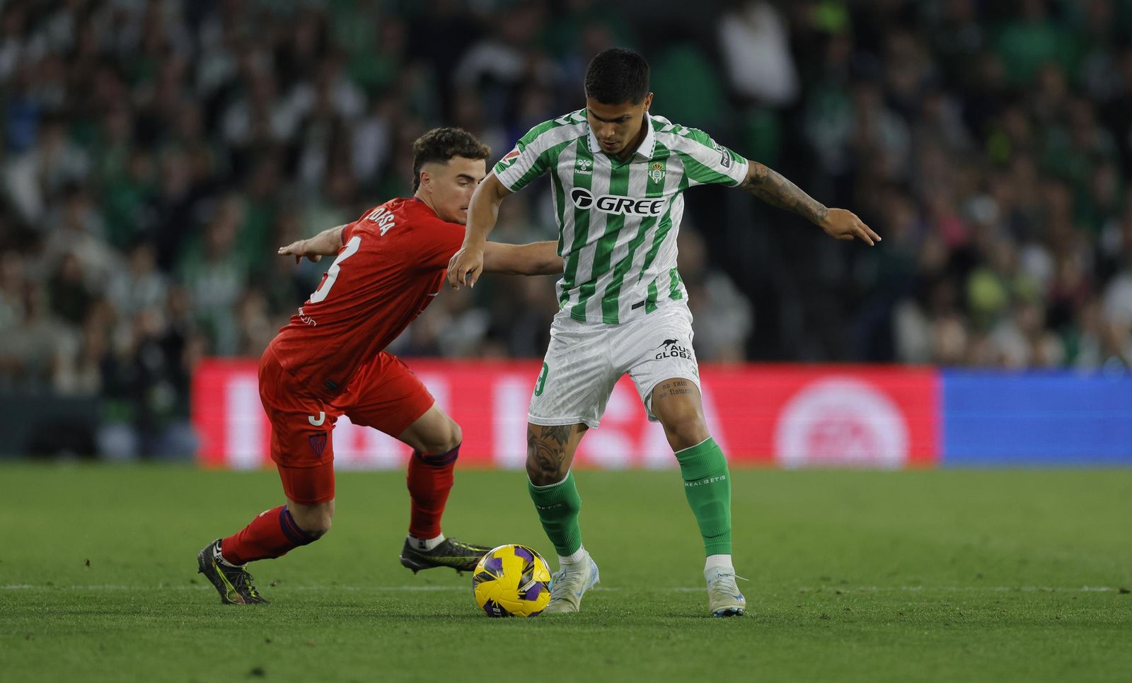 Las fotos del Betis - Sevilla