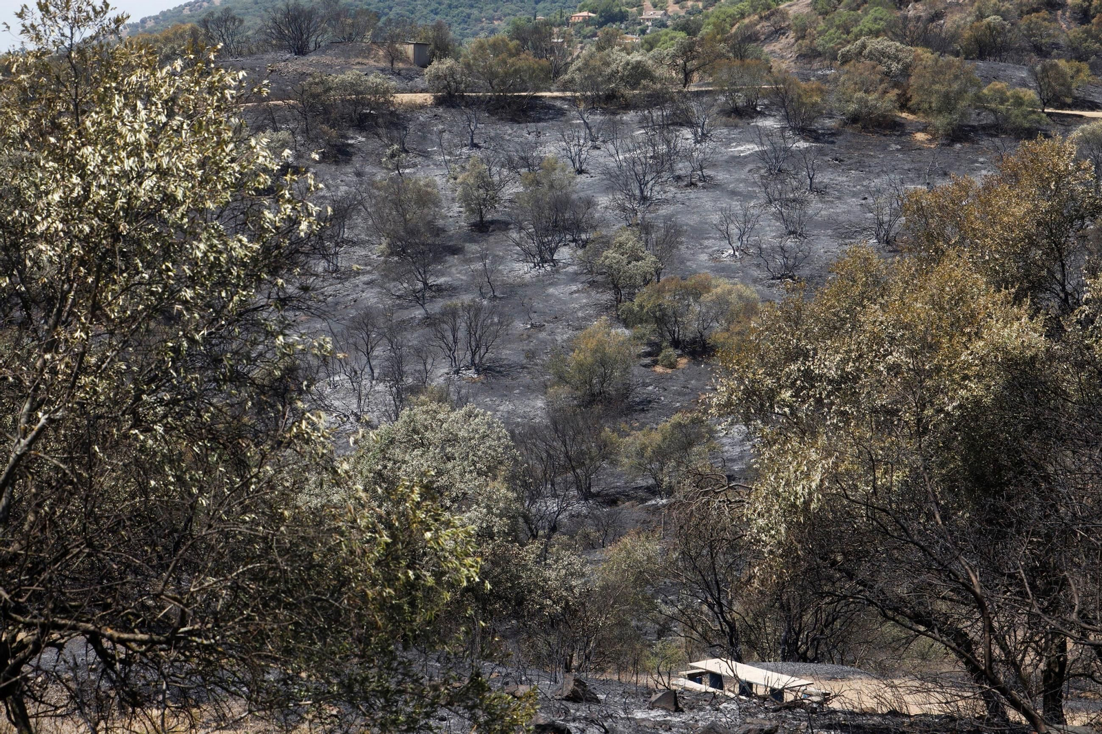 Zona cero del incendio de la Sierra de Córdoba