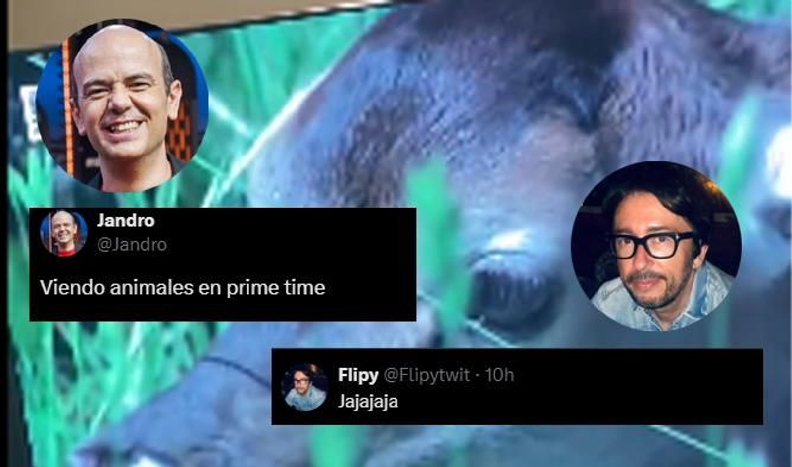 Montaje con las reacciones