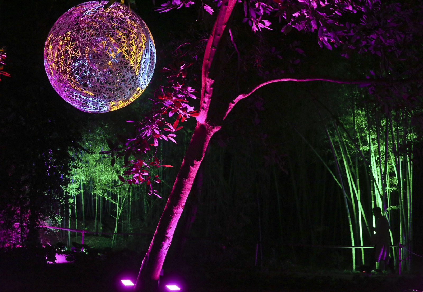 Las luces del Jardín Botánico de Málaga esta Navidad, en fotos