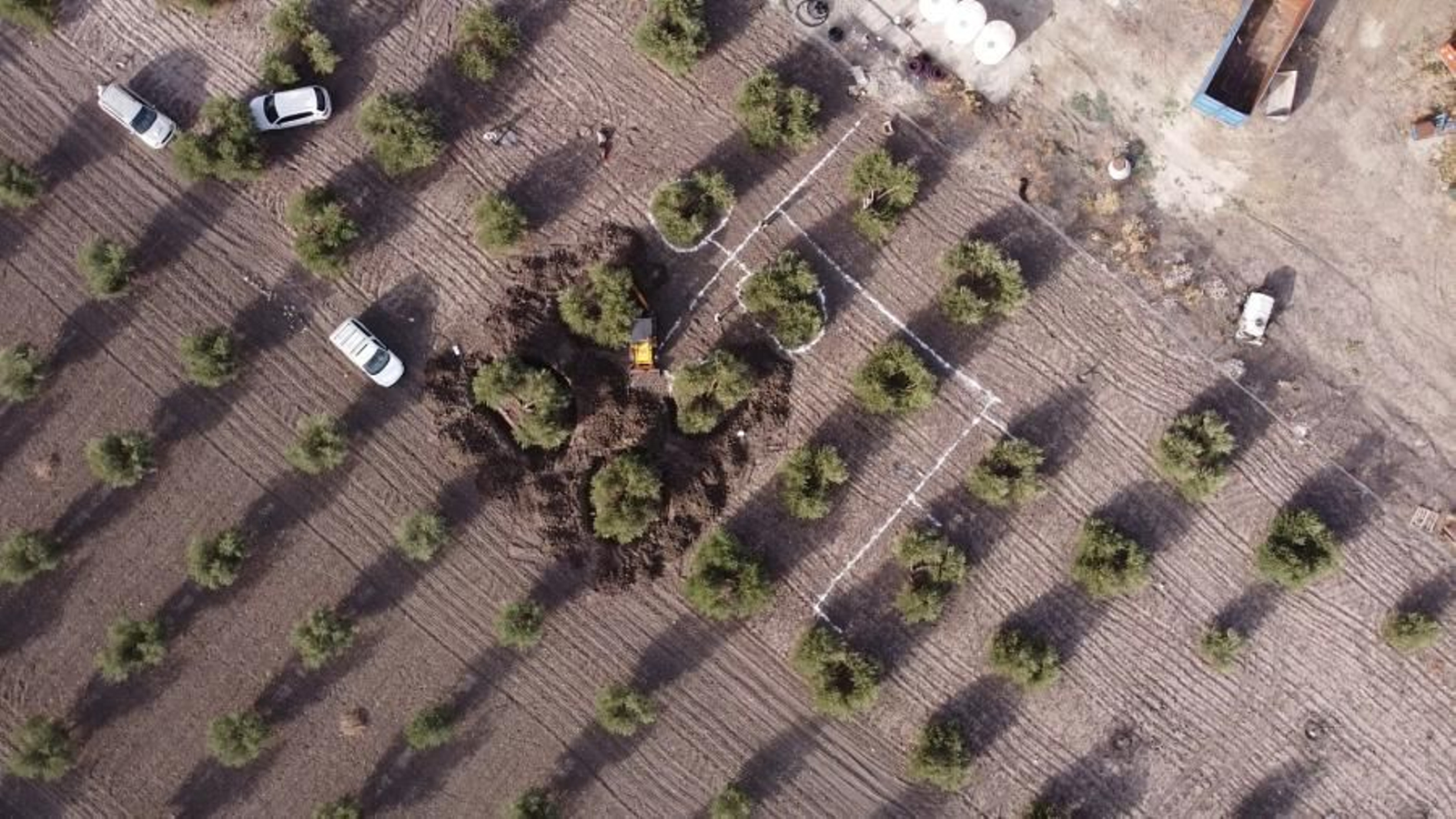 Instalación en un cultivo