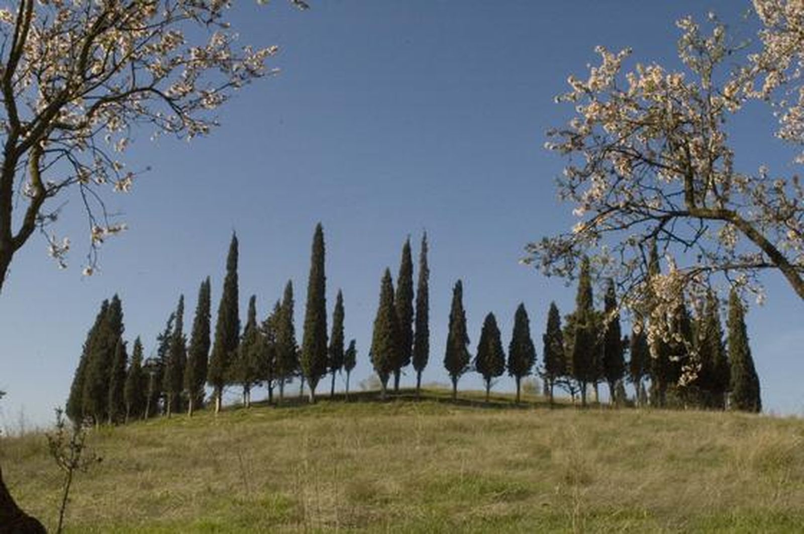 Túmulo de El Romeral.

Foto: M. H.