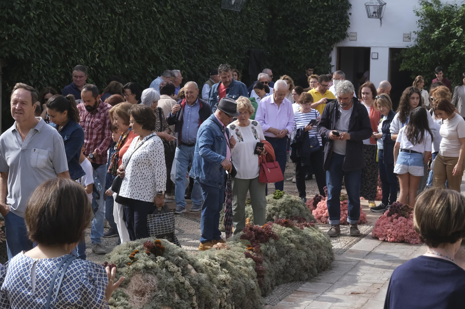 Un recorrido por los patios del Festival Flora 2022 de Córdoba, en imágenes