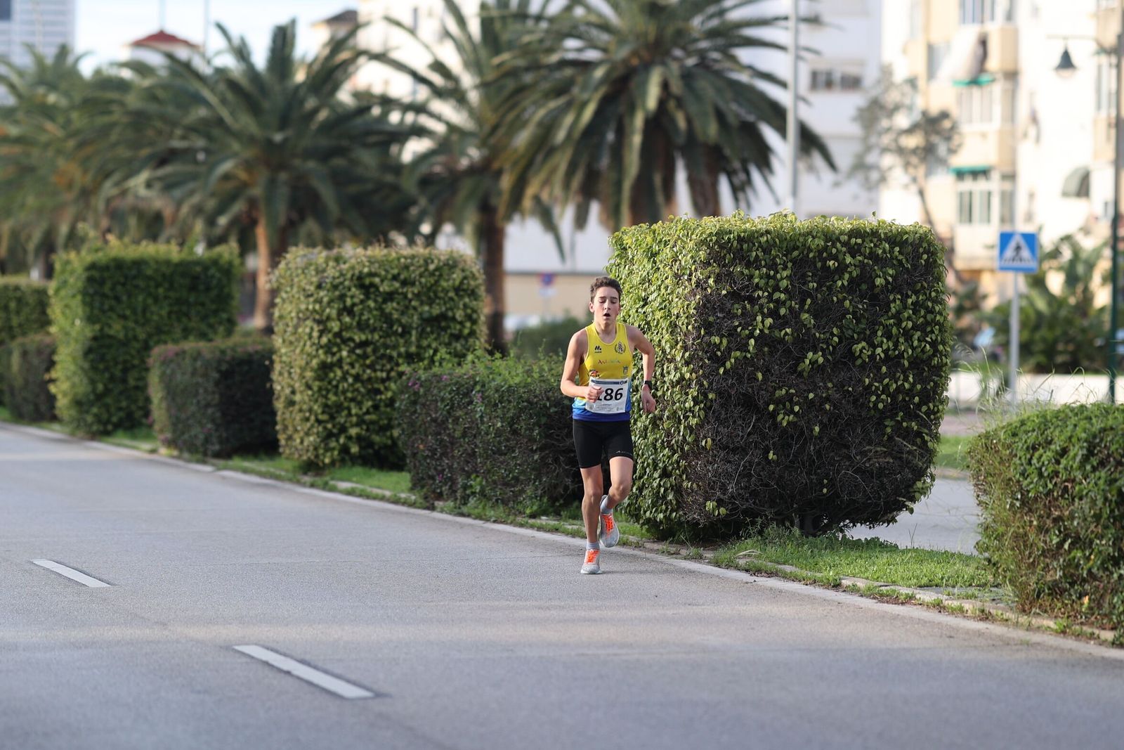 La Carrera Urbana Fundación Unicaja Sagrada Familia, en fotos
