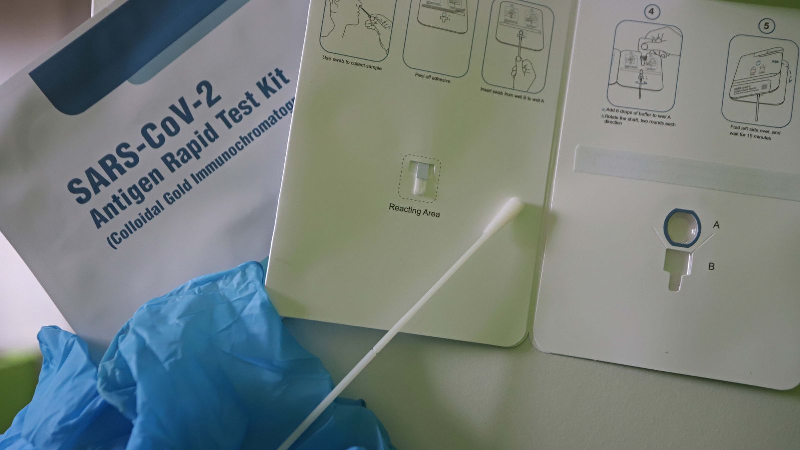 Detalle de los elementos de un test de antígenos.