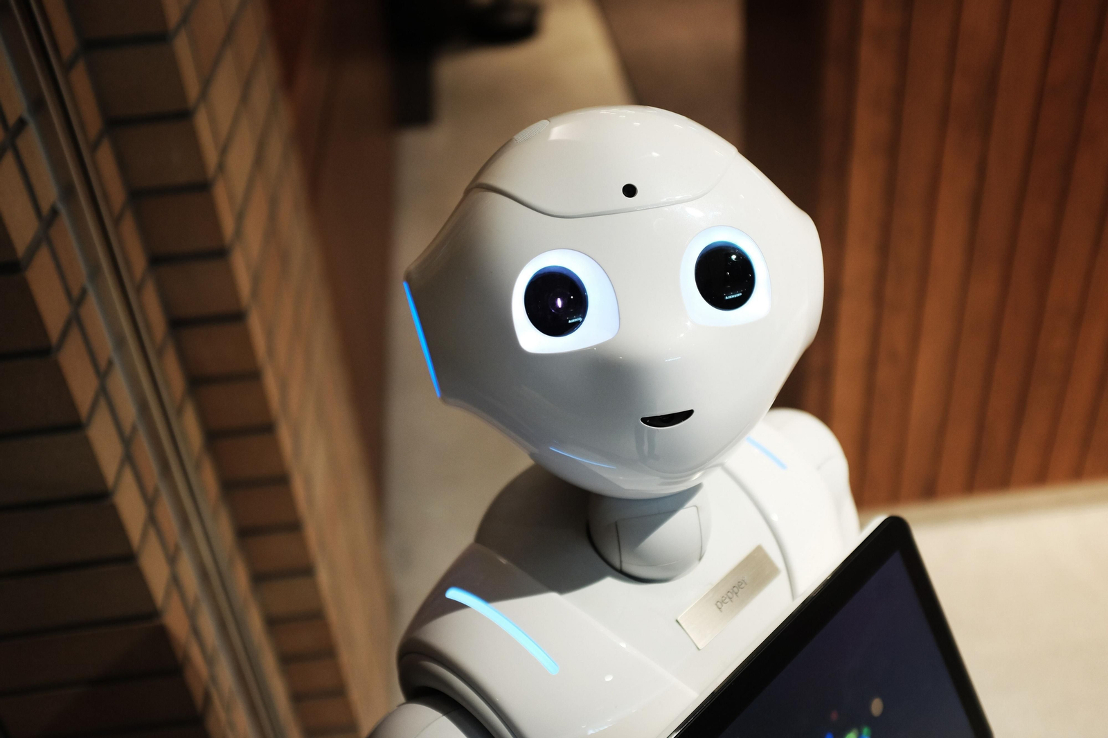 Un robot programado con inteligencia artificial.
