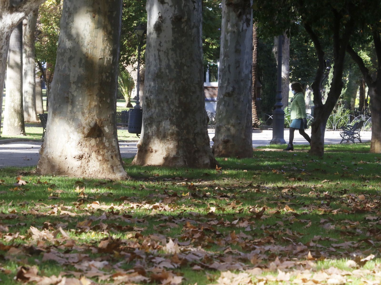 El otoño en Córdoba, en fotografías