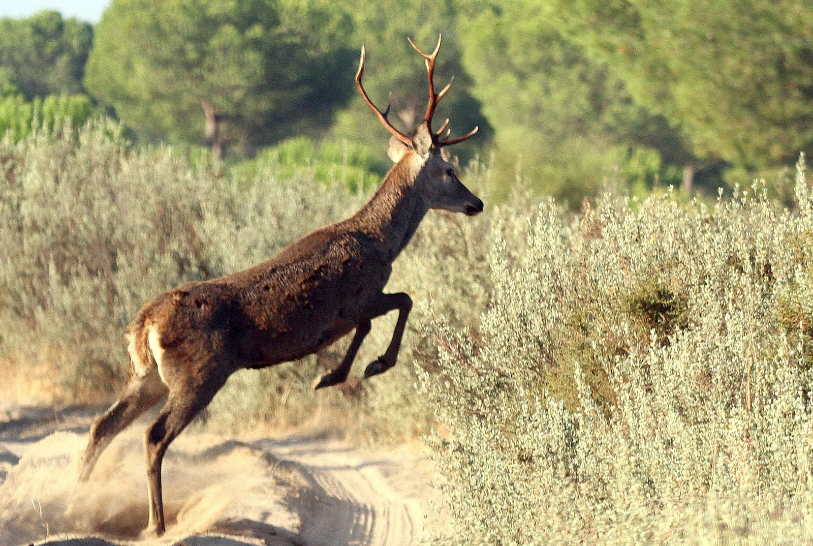 Las dos maravillas naturales de Huelva más importantes de Andalucía, según National Geographic