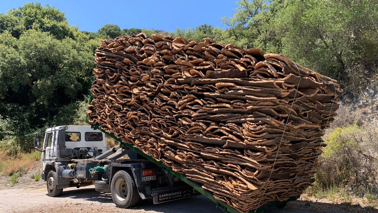 Camión cargado de corchas