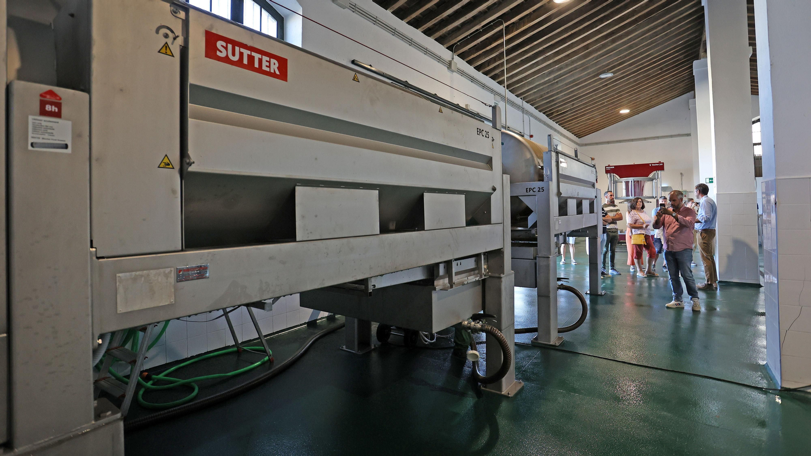 Asoleo de Pedro Ximénez en González Byass