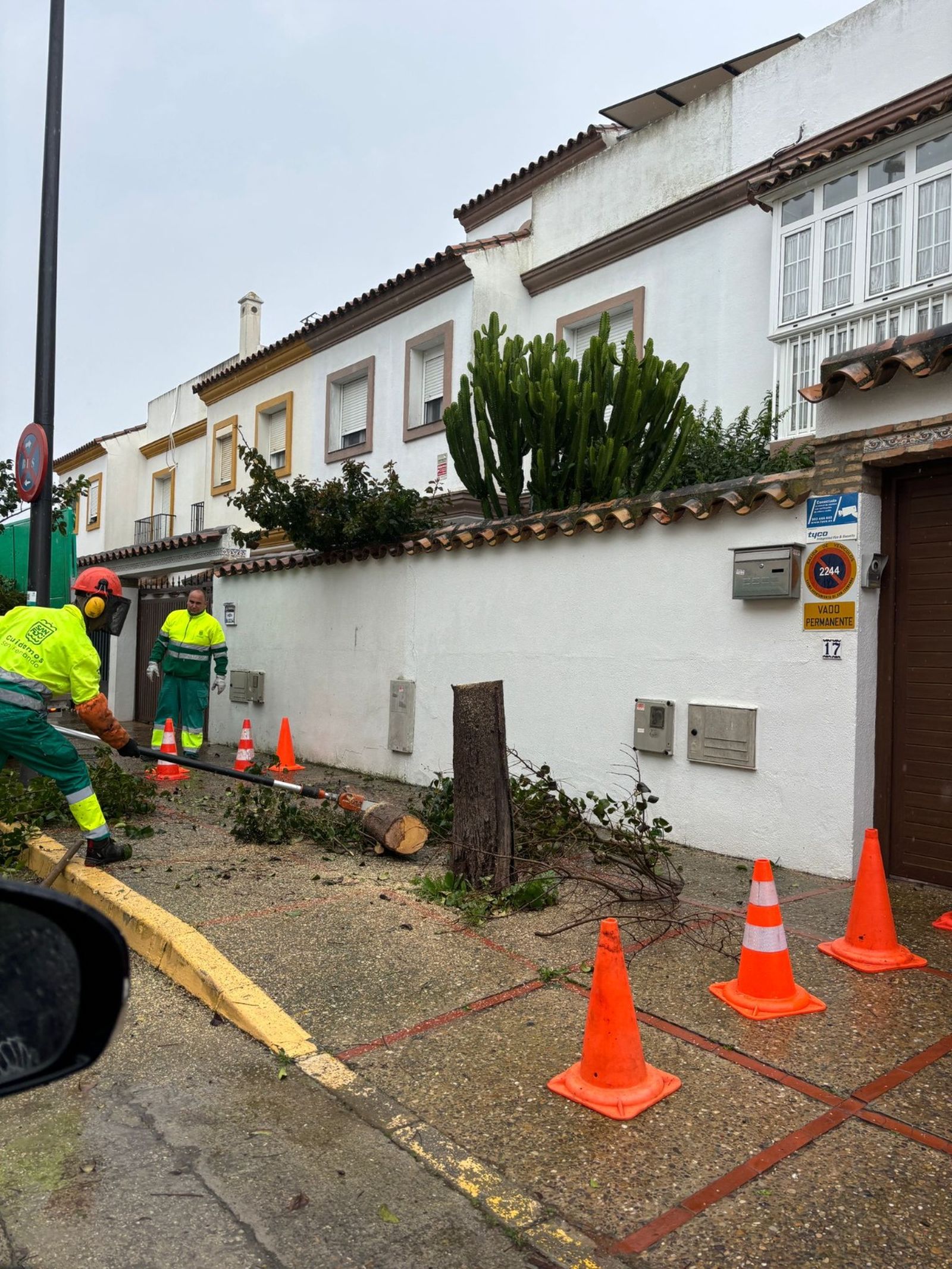 Una de las intervenciones de esta mañana en San Fernando por el viento