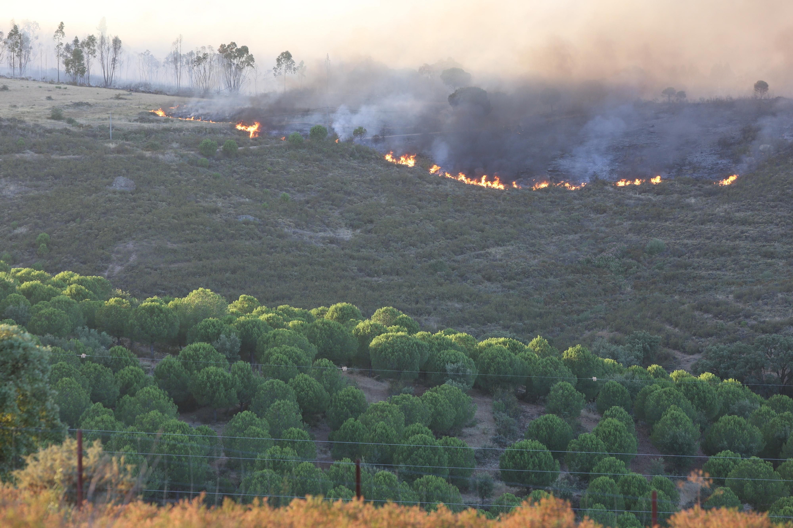 El incendio de Riotinto en imágenes