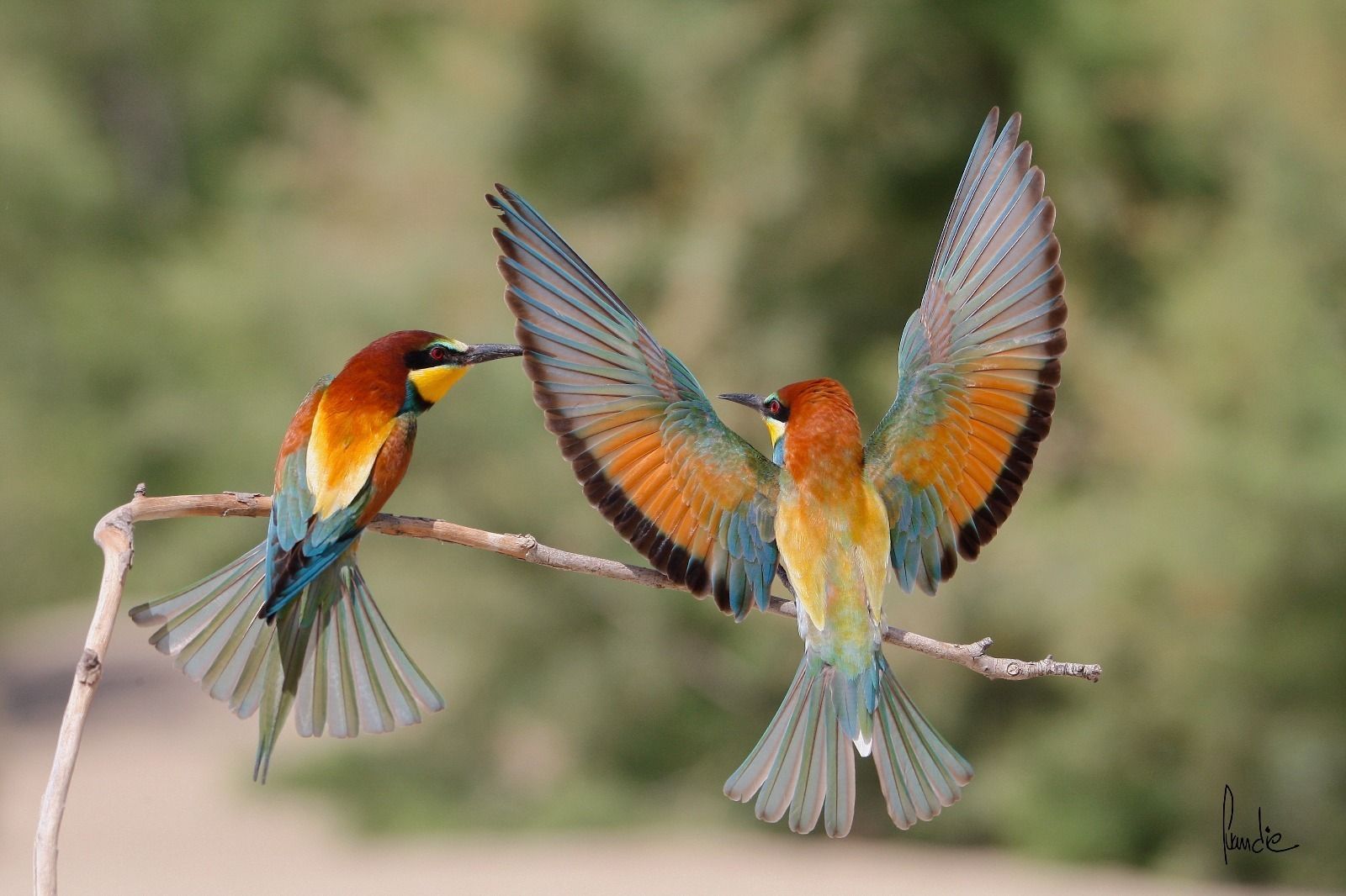 Una de las fotografías de la exposición de Juan Diego Andrades.